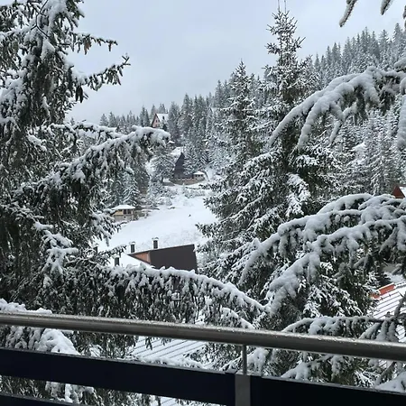 Appartamento Flora Vlasic *