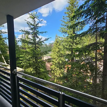 Appartamento Flora Vlasic Sisava