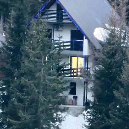 Flora Vlasic Apartamento